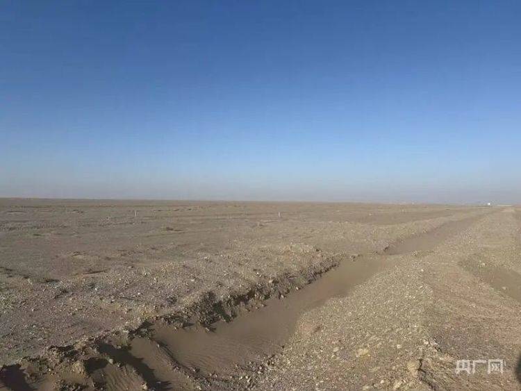 一枚200元假公章敛财4000万 起底430