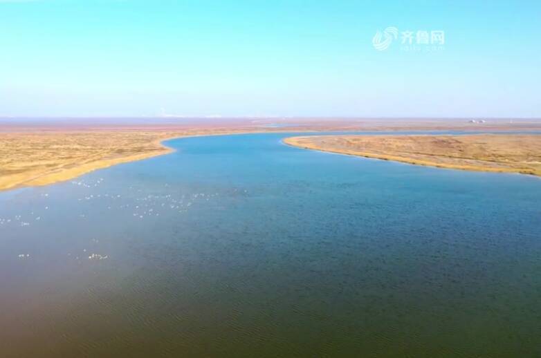 闪电评论 大河之畔铺展协调发展新画卷