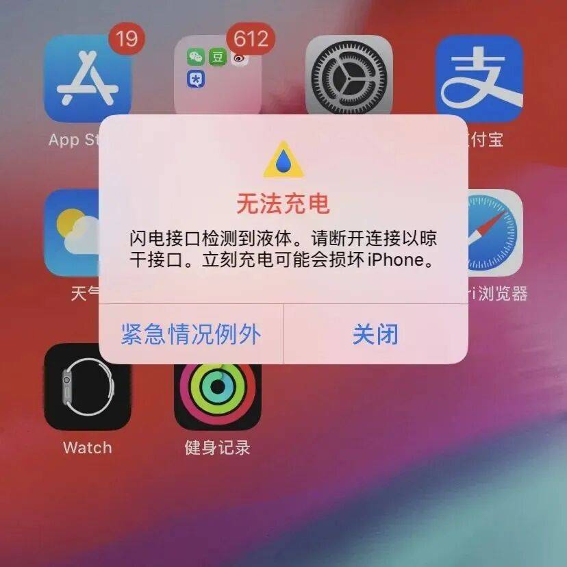 苹果公司警告:手机进水,别插米里_iPhone_防水_大米