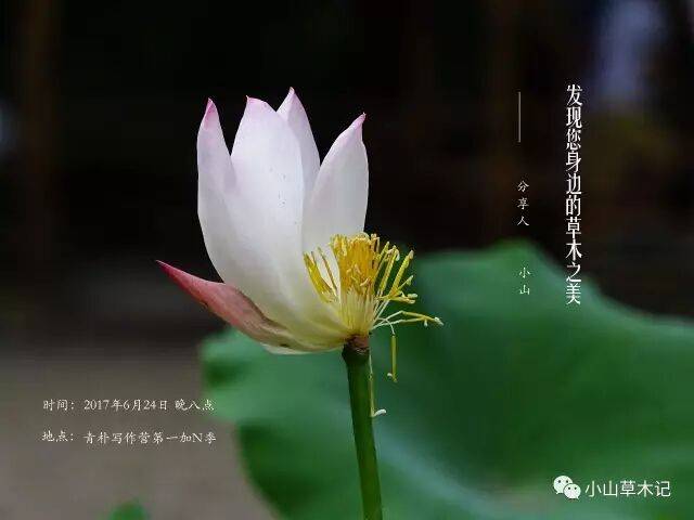 shadowrocket账号迁移