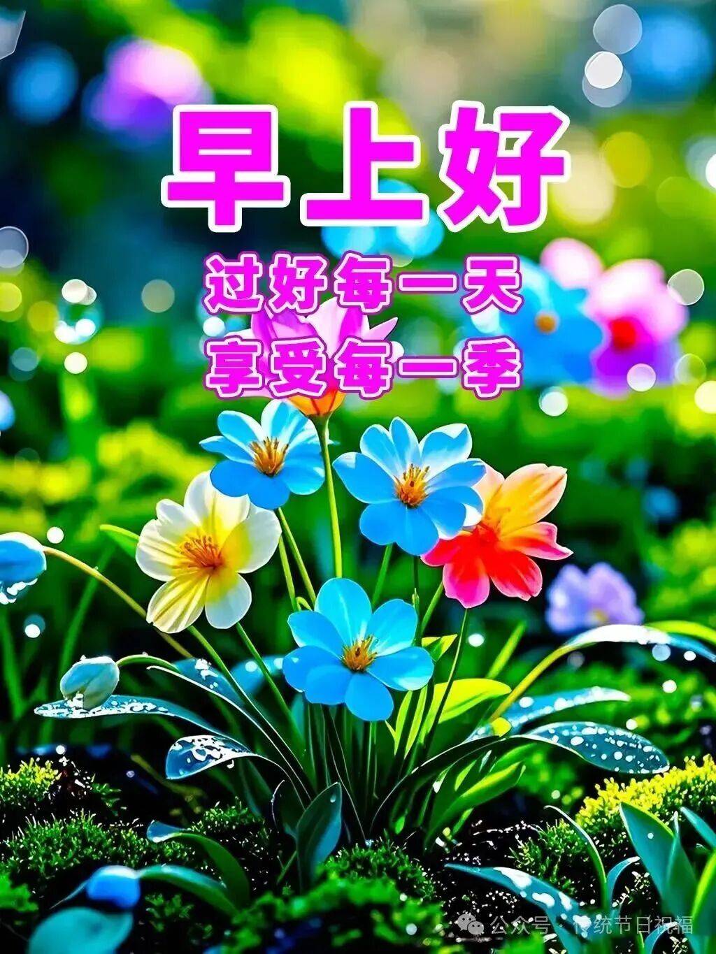 19张最新创意好看的早上好祝福图片带字温馨,彼此多保重,天天好心情!