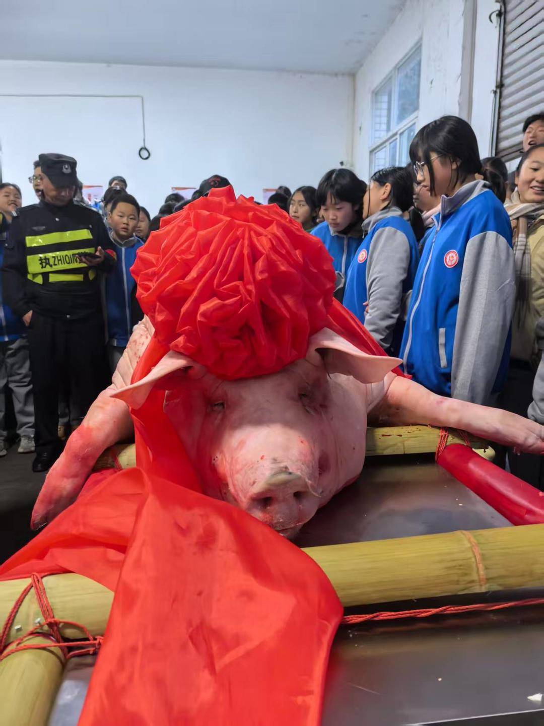 不用羡慕别人的“按猪”啦！成都学校杀猪过年，家长学生都来了_搜狐网