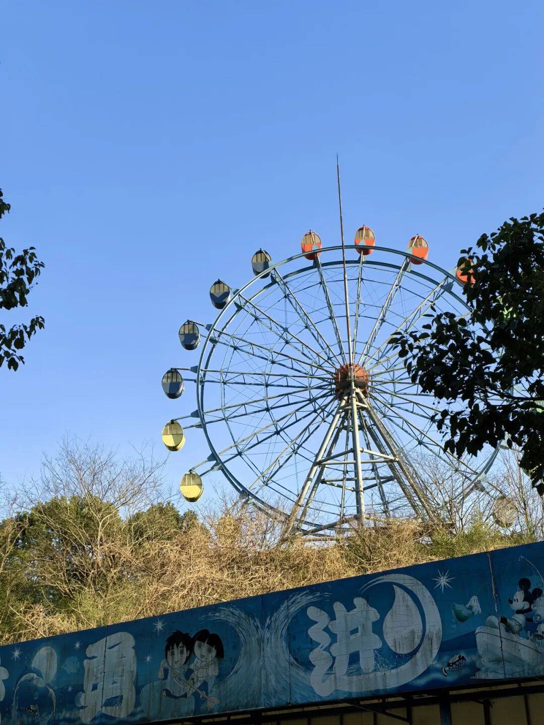 代表安卓出战？荣耀能抢到 iPhone Air 的风头吗？