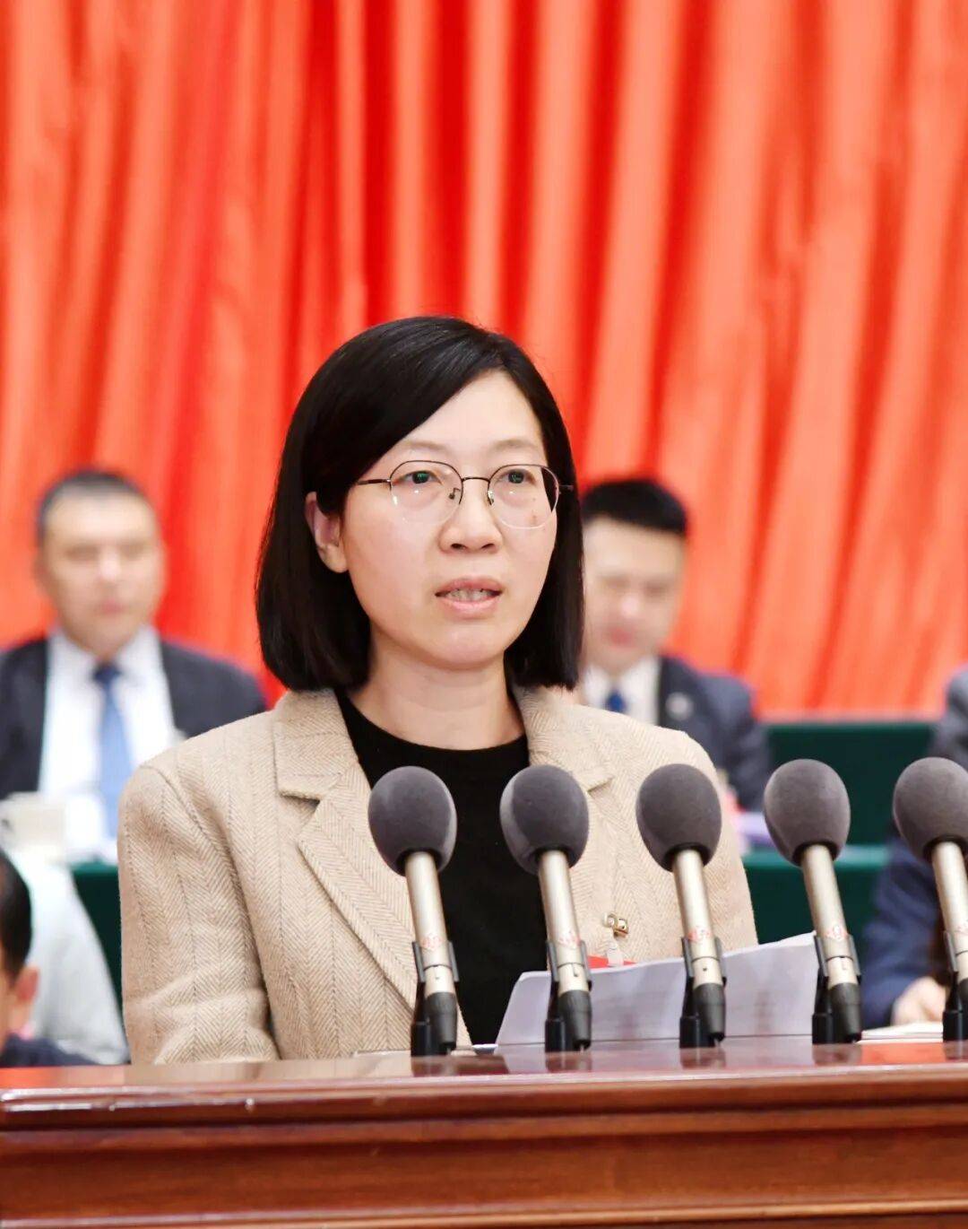 李卉琦委员代表民建市委会发言优化提升工艺美术产业1月14日下午市