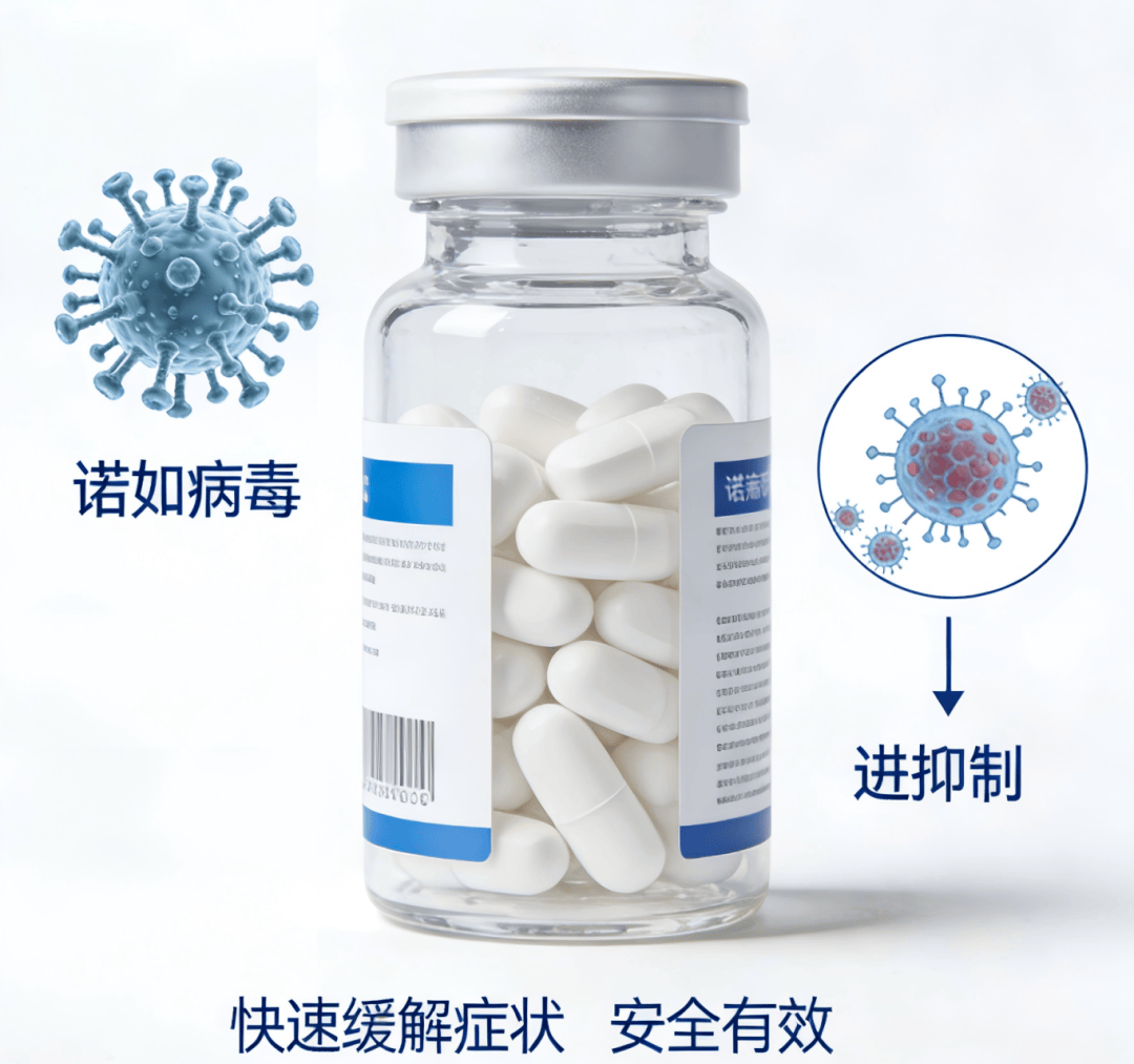 诺如病毒感染进入高发季!预防牢记“四要”“四不要”→_症状_食物_消毒