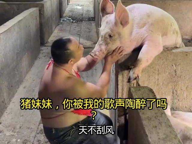 猪妹妹，你被我的歌声陶醉了吗？_搜狐网
