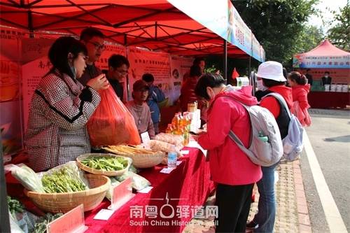 “以道兴村”,南粤古驿道定向赛带动乡村振兴_发展_文化_融合