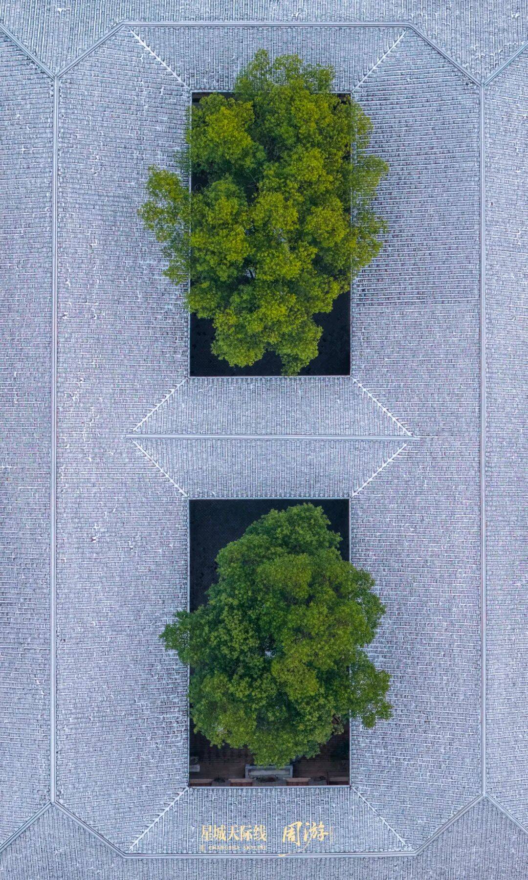 长沙斗图大赛