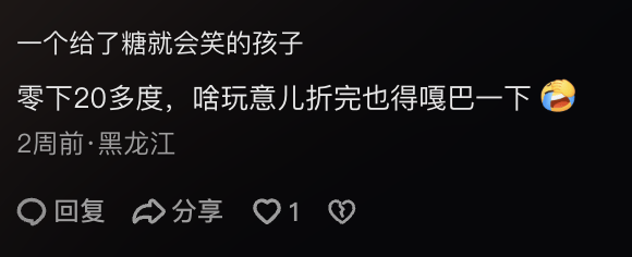 东北霸总，为什么用不了折叠屏?