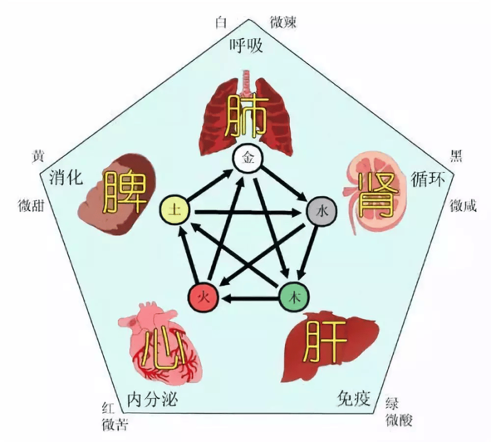 艾灸调理“四大虚”，身体倍儿棒吃嘛嘛香！_六腑_五脏_气虚