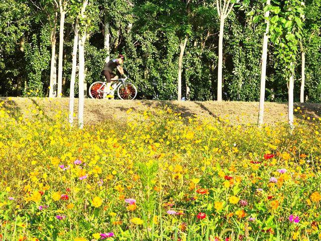 城市副中心乘势而上做新时代的标杆
