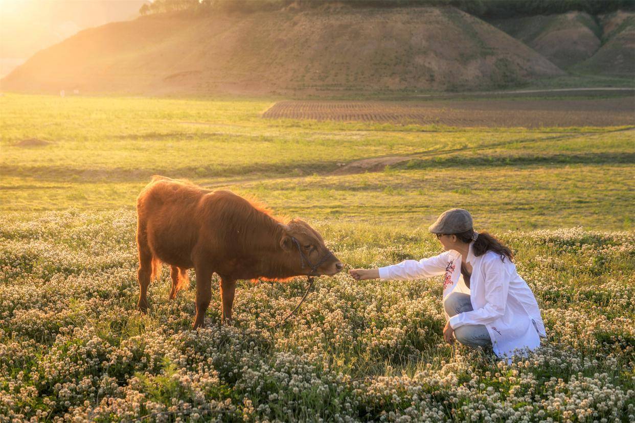 "健康天天向上"涉嫌违法