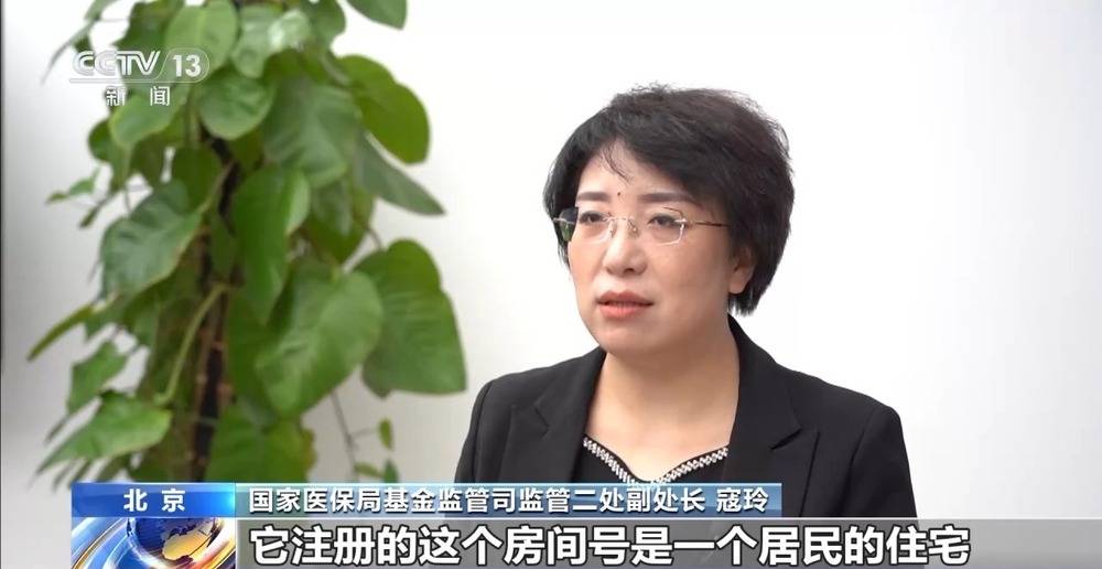 法治在线丨一公司15名员工13人生育 起底全链条造假骗取生育津贴大案