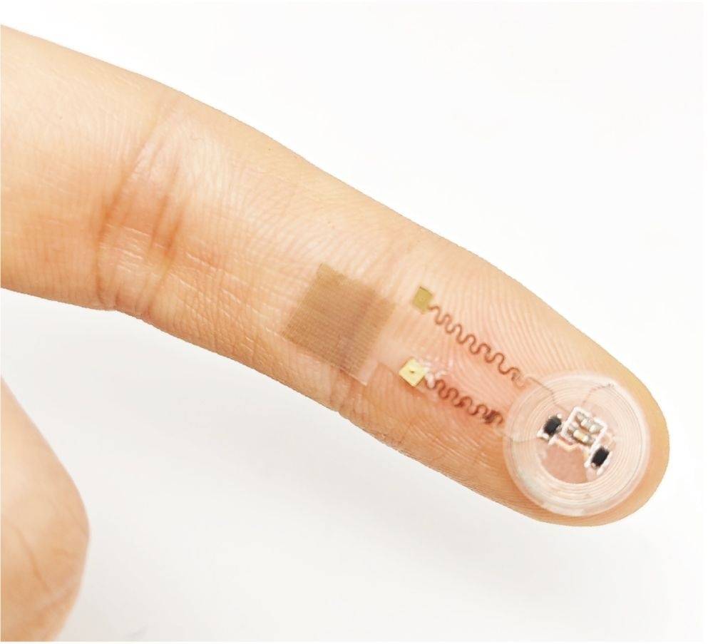 能贴合器官表面的智能“外衣”，灵感来自剪纸艺术