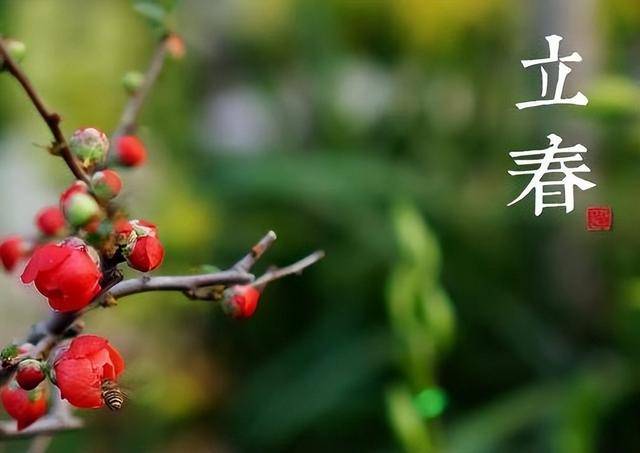 原创            2月4日立春，宜“少酸辣多辛甘”，要多吃这3样疏肝养阳温补迎春