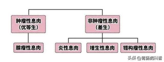 肠息肉有这几种，哪些容易癌变？哪些应该及时切除？