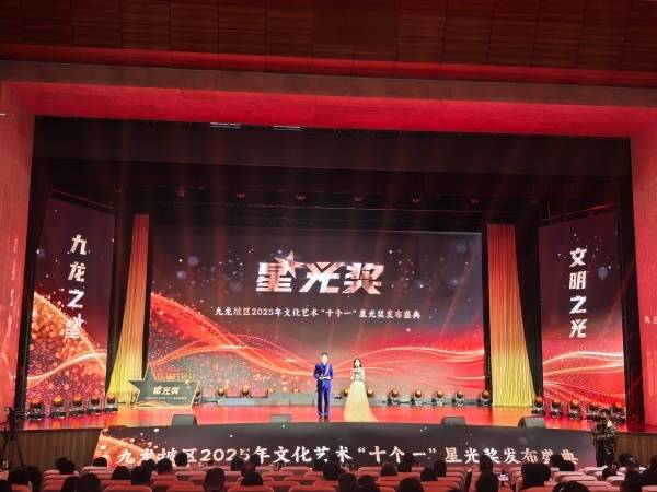 九龙坡区2025年文化艺术“十个一”星光奖揭晓