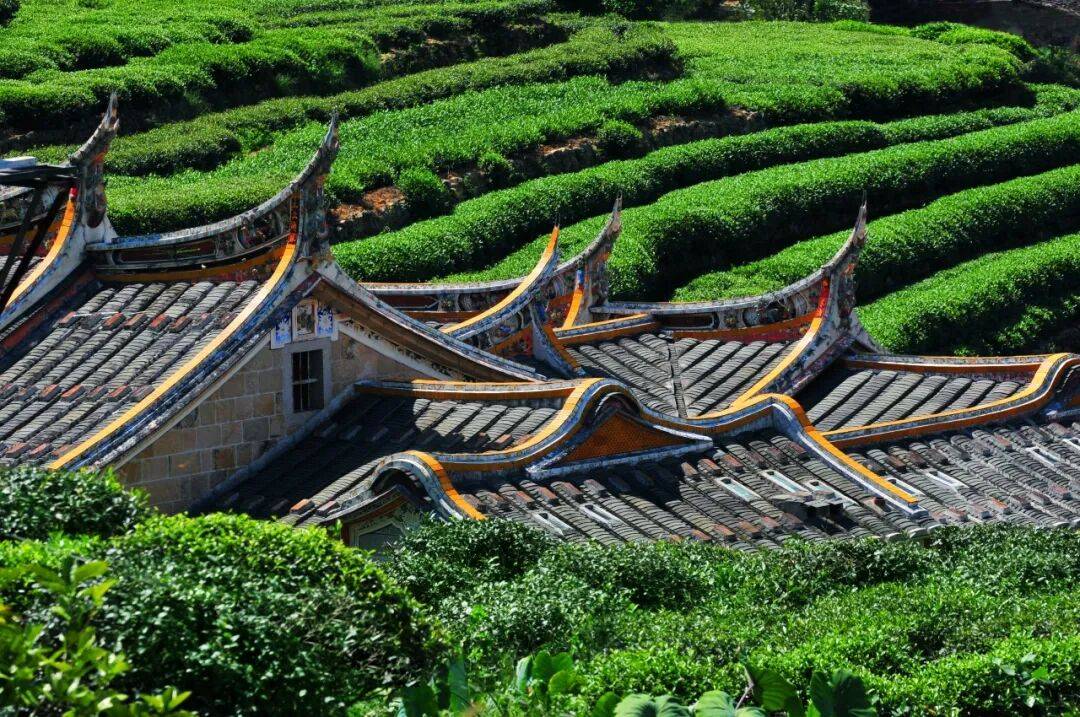 活动招募 | 一座闽南古邑的生命编年史——《安溪传》新书首发式