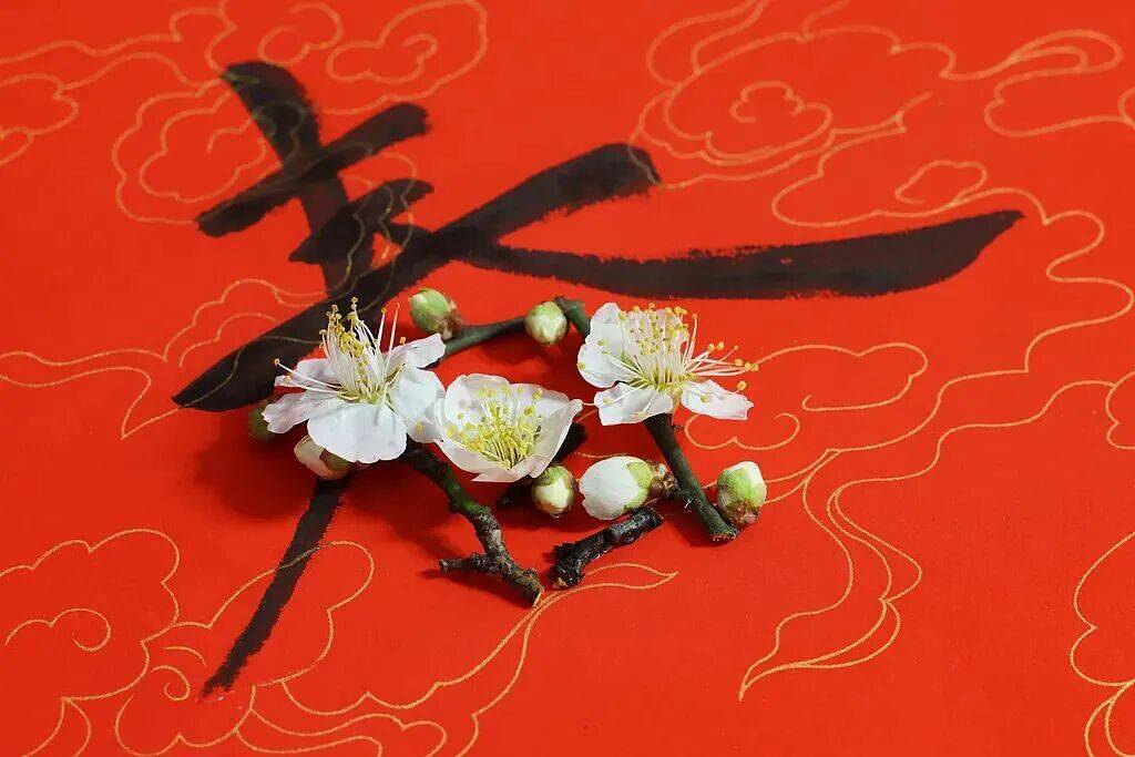 科普 | “立春”为什么称为 Start of Spring 而不是 Beginning of Spring?_英语_词语_custom