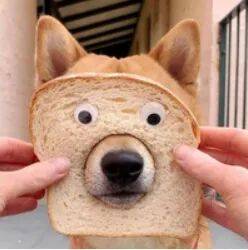 年末团聚，警惕痛风“突袭”！这份预防指南请收好