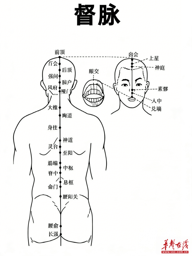 立春养阳正当时！督脉灸助你告别倒春寒，全身暖透不发冷