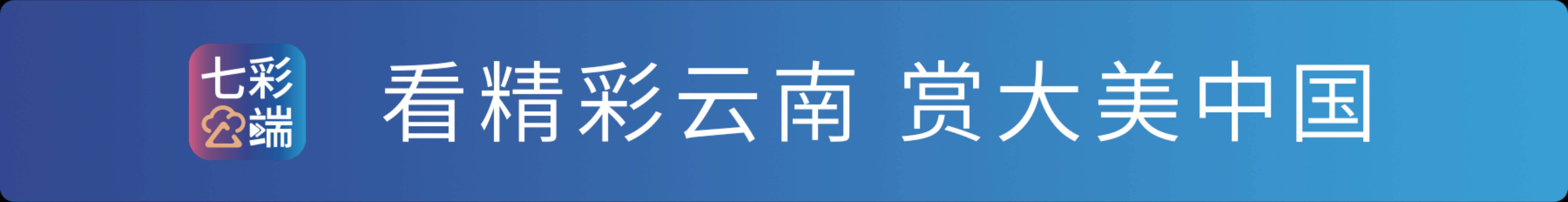 云南本土电影《翠湖》全国热映 用慢时光治愈千万家庭