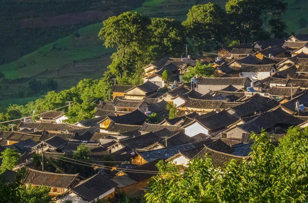 穿腻黑色羽绒服的打工人，都买票去这避寒了 -华闻时空