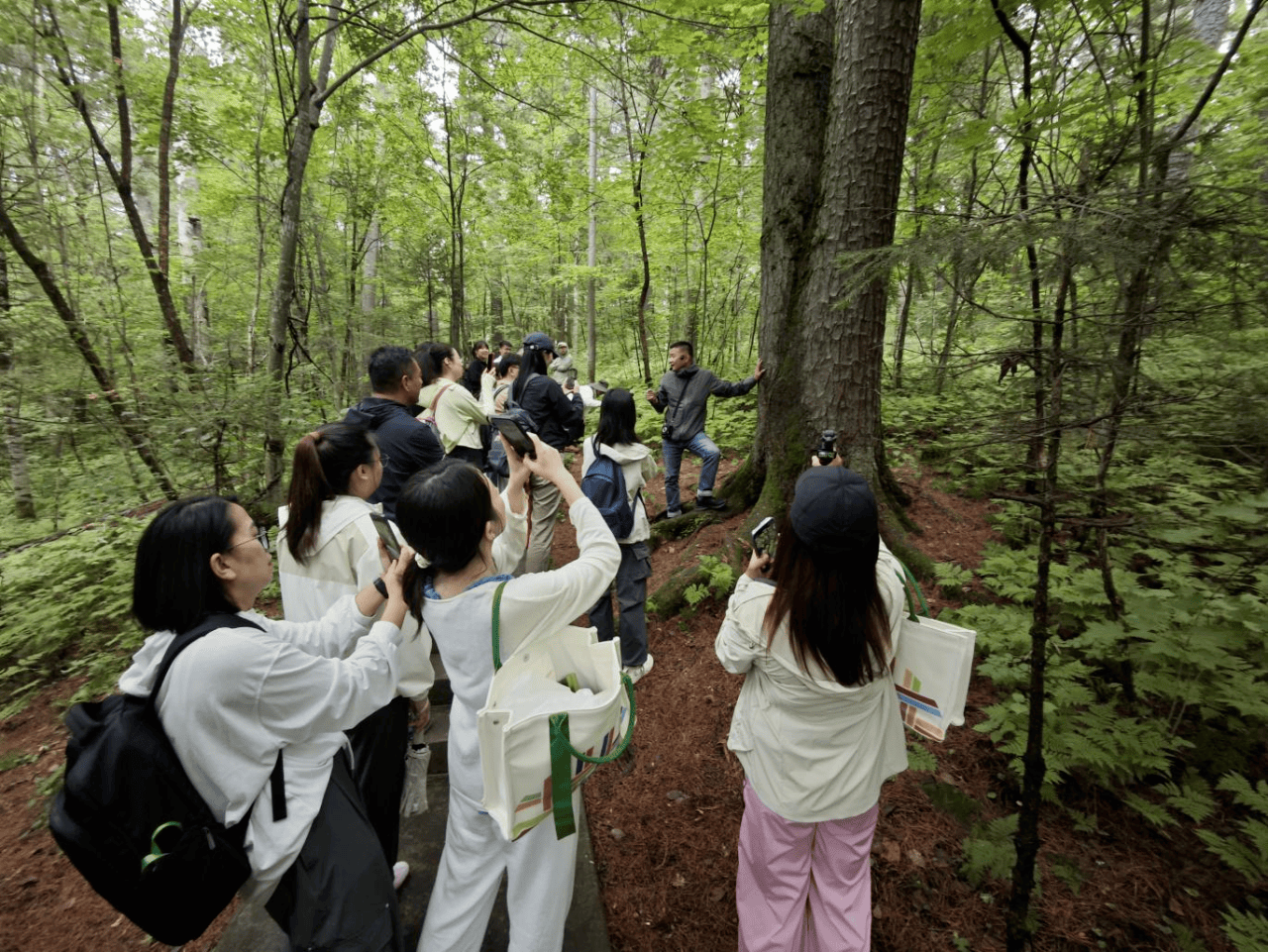 伊春：擘画在线体育博彩- 合法体育、彩票