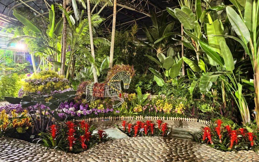 大年初一起,国家植物园将开启新春奇妙夜_兰花_展区_活动