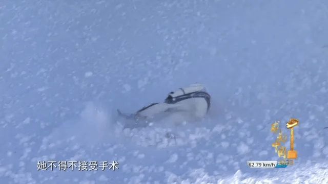 世界杯直播在线观看——高清足球直播平台推