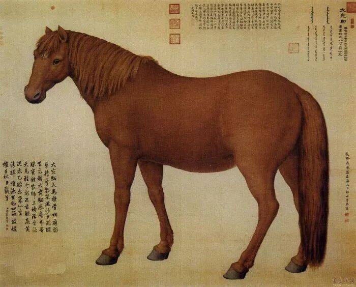 马中赤兔,缘何写入正史?_关羽_赤兔马_人中吕布