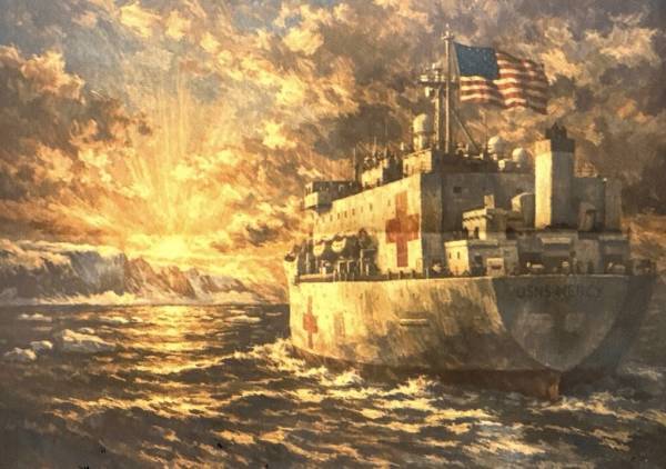 特朗普宣布派医院船去格陵兰岛，格陵兰：谢谢，美国人更需要-华闻时空