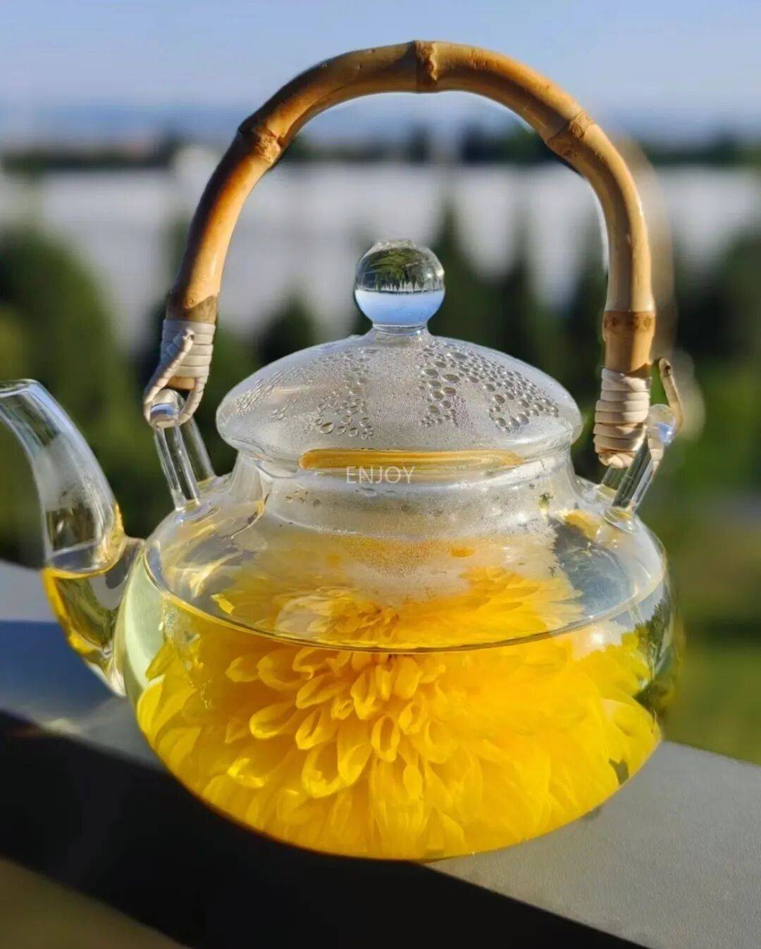 299元到手4罐每天泡一朵茶汤澄澈透亮