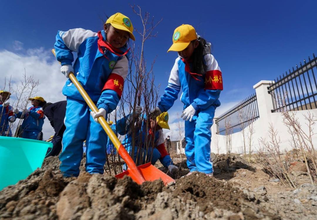 中国人种树到底有多厉害？ 图11