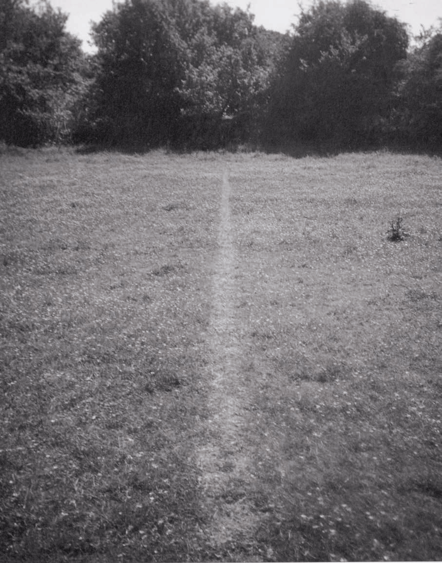 AI养龙虾时代，艺术治好了我的存在主义焦虑