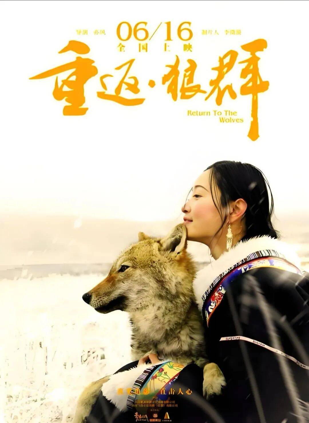 【盛达读书会】——《重返狼群 …