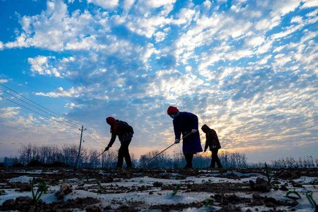 “不敢生病，不敢消费”，农民养老金该怎么涨？