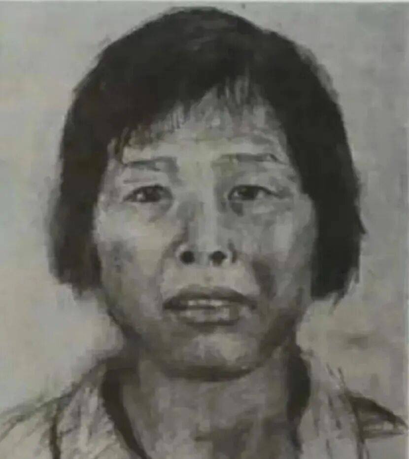 人贩子“梅姨”落网，为何多年难抓捕？_张维平_拐卖儿童_申聪