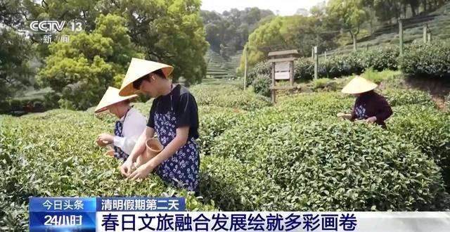 视频丨赏花品茶探古韵 春日文旅融合发展绘就多彩画卷