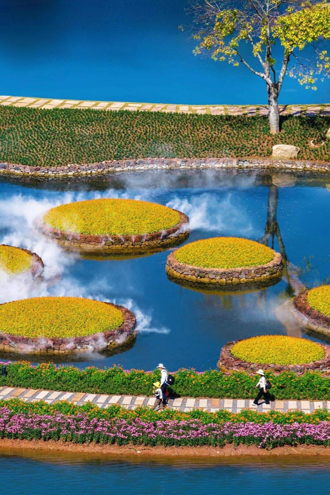 图片[9]-这个没景点的城市，凭什么成了今年春游顶流？ -华闻时空