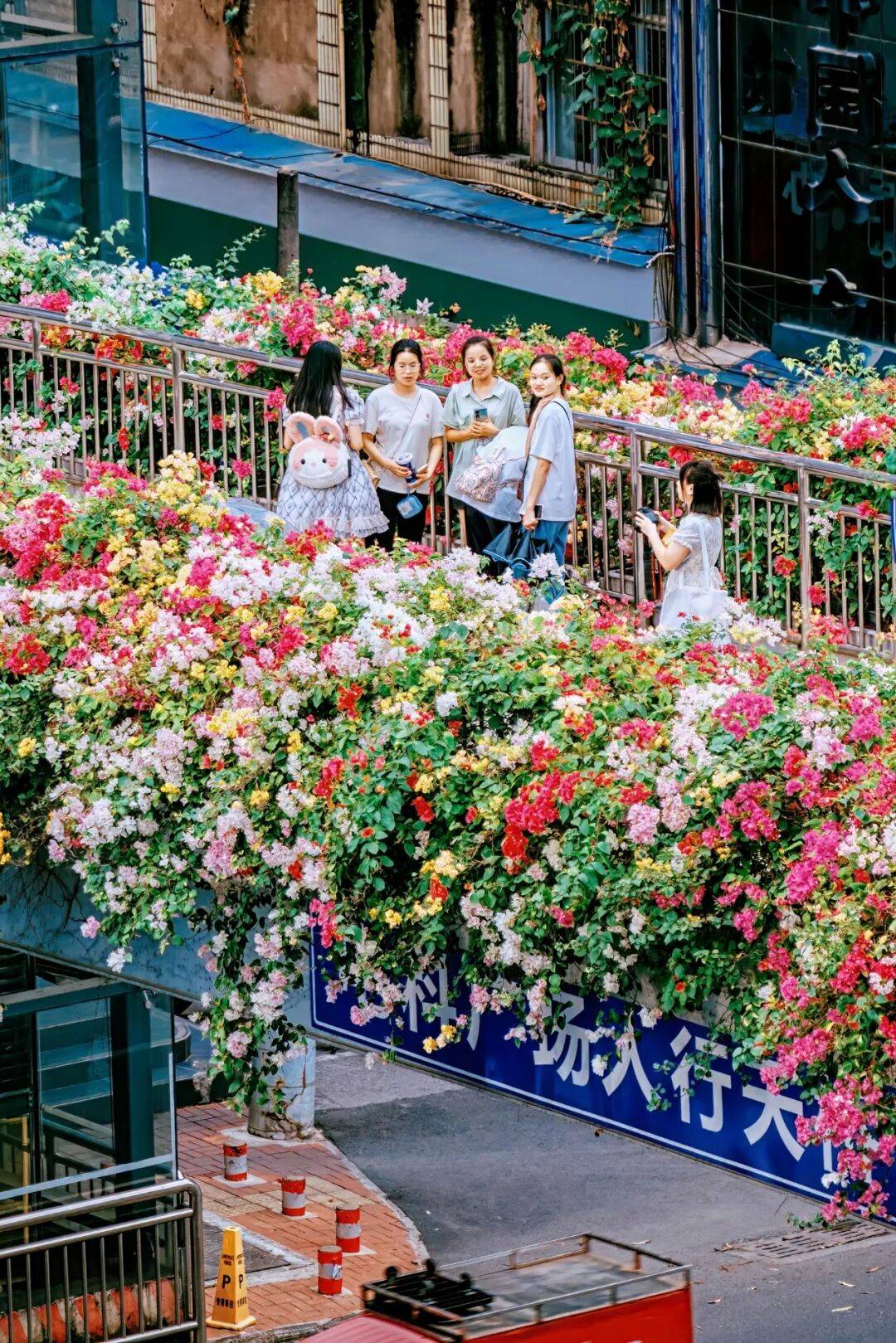 图片[5]-这个没景点的城市，凭什么成了今年春游顶流？ -华闻时空