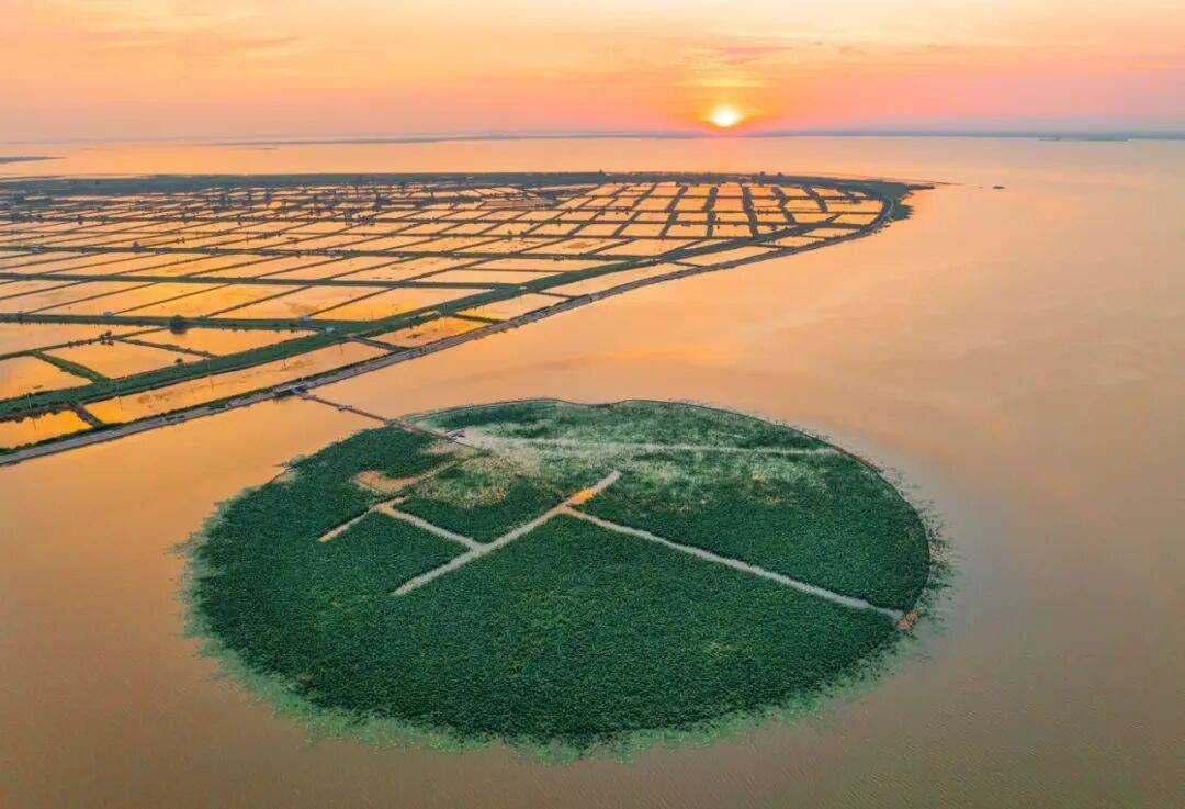 “生态颜值”变“经济价值”洪湖湿地碳汇开发项目启动_底泥_保护_中建三局