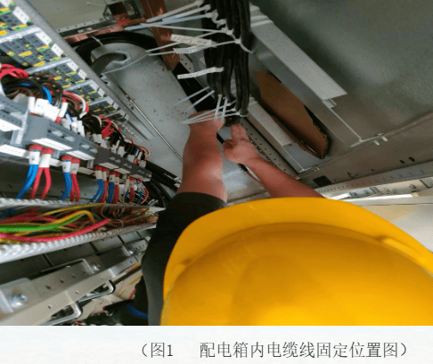 金龙鱼一工厂出事，1人死亡！调查结果披露
