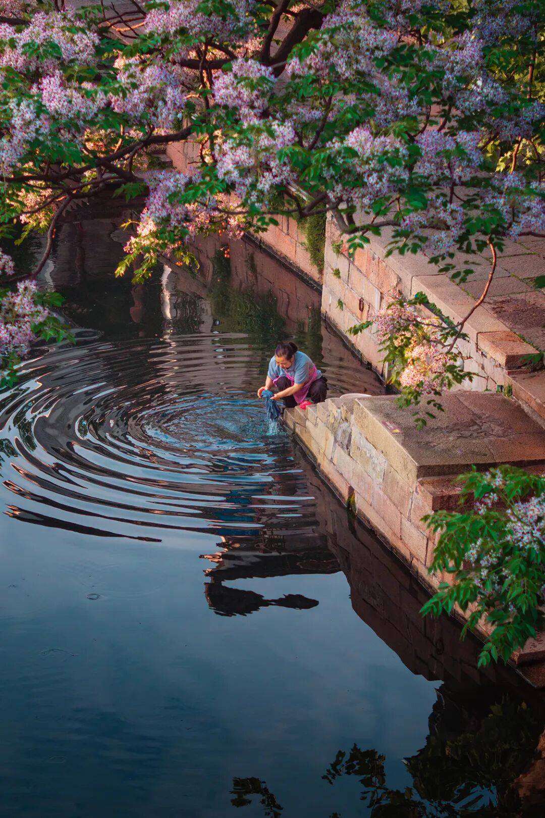 图片[12]-这个富可敌国的小镇，凭什么成为江南的“文化心脏”？-华闻时空