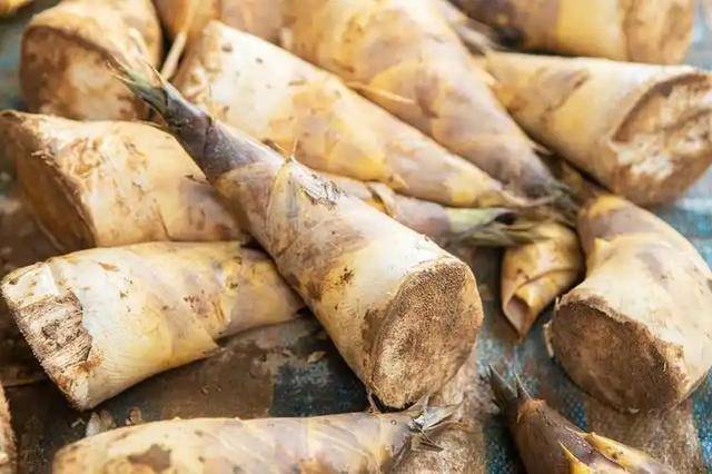 竹笋再次被关注！研究发现：吃得越多，高尿酸寿命或越长？真假？