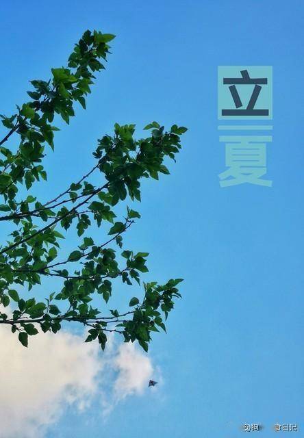 开水冲鸡蛋的威力真不小，立夏喝到小满，身体变化看得见！