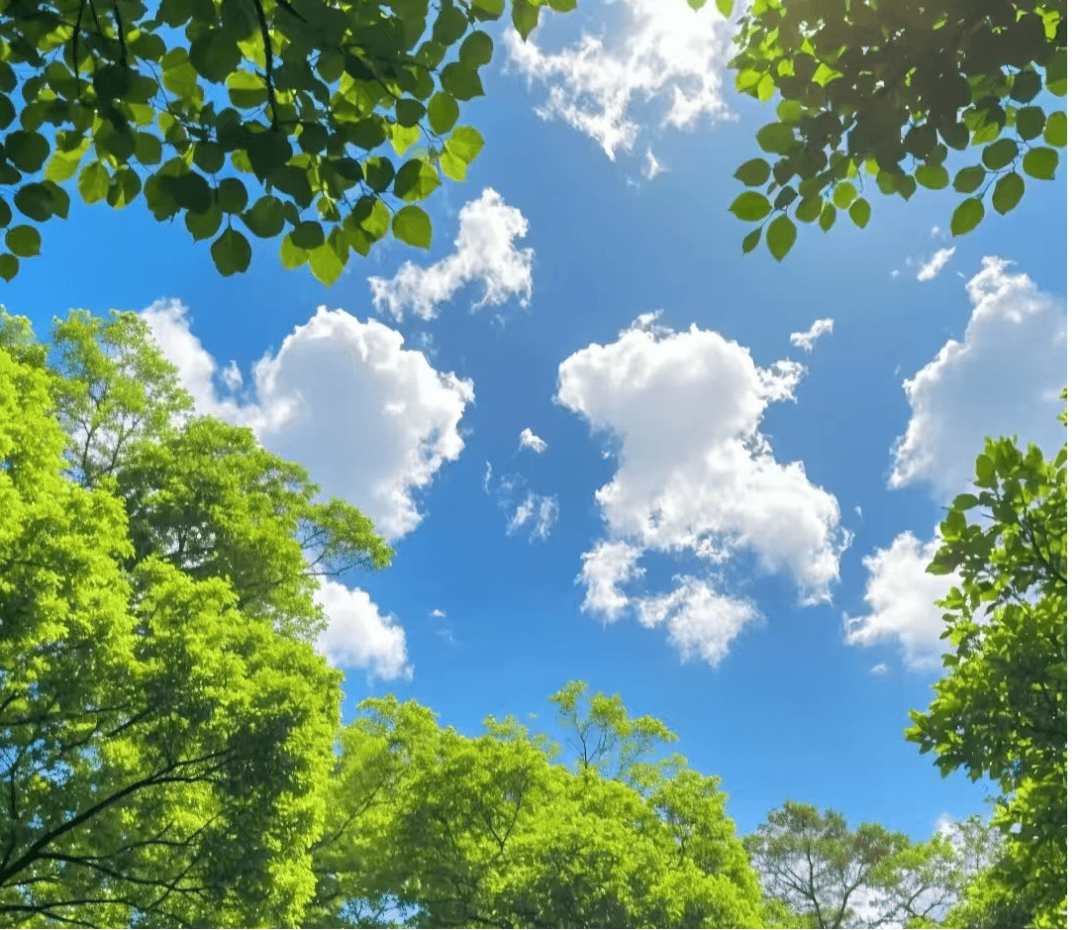 【科普丨生活中的老中医】夏季祛湿：刮痧和拔罐怎么选？一看就懂