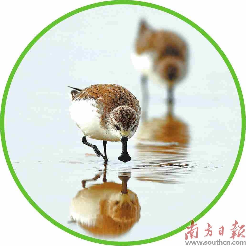 潮汐间的奇妙世界