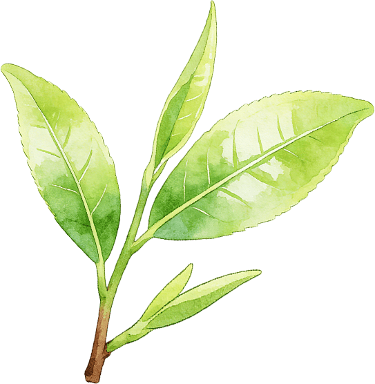 海盐茶叶登上国家展会