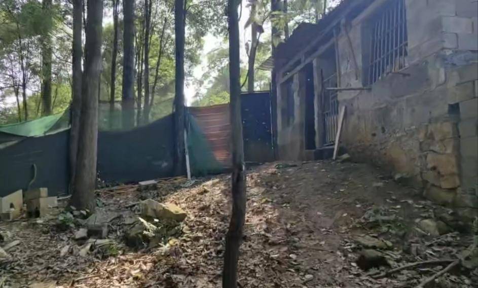 马匹冲入小区拖拽5岁女童致死，马主涉过失致人死亡被立案 母亲：多希望自己是超人，拉住那匹马